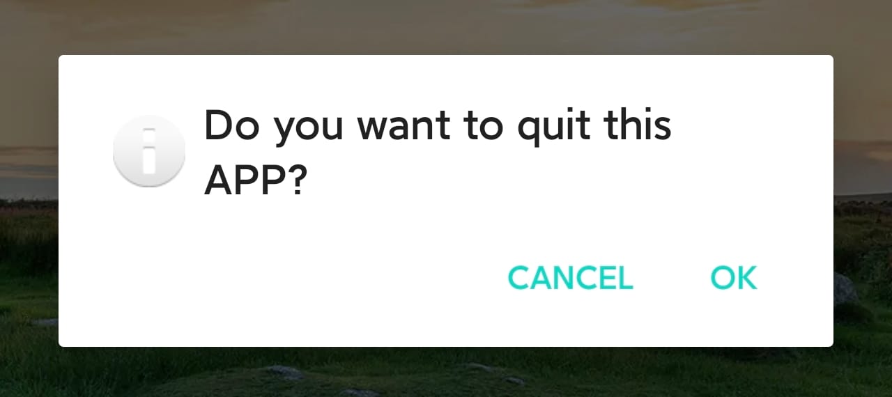 Exit Prompt